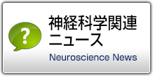 神経科学関連ニュース